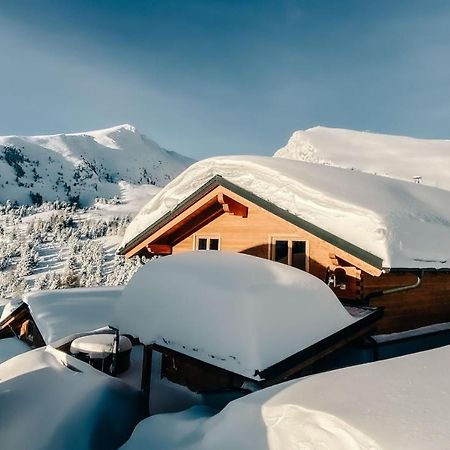 Heidi Chalets Falkert Heidialm - Chalets Bergwinter Patergassen Ngoại thất bức ảnh