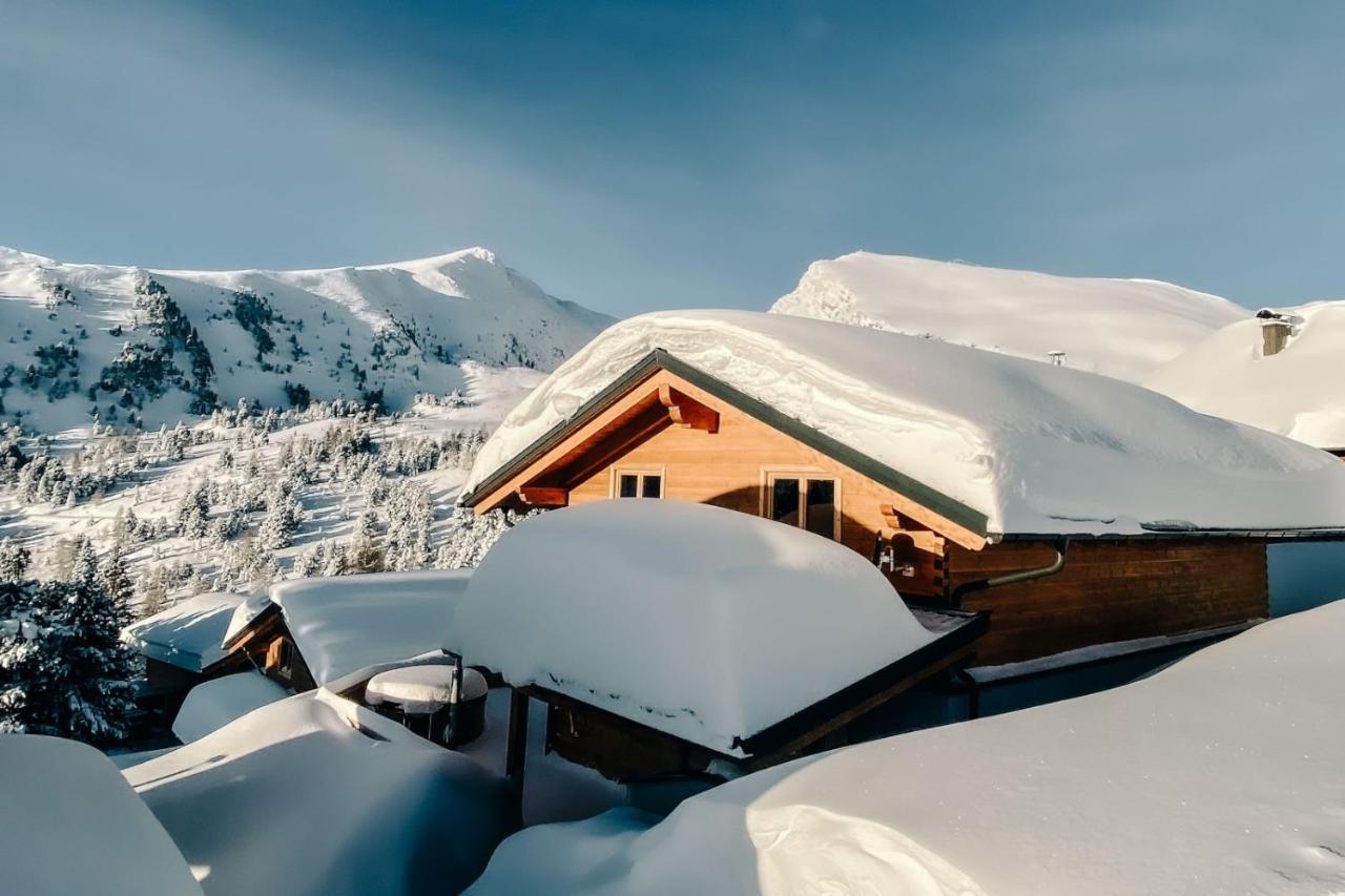 Heidi Chalets Falkert Heidialm - Chalets Bergwinter Patergassen Ngoại thất bức ảnh
