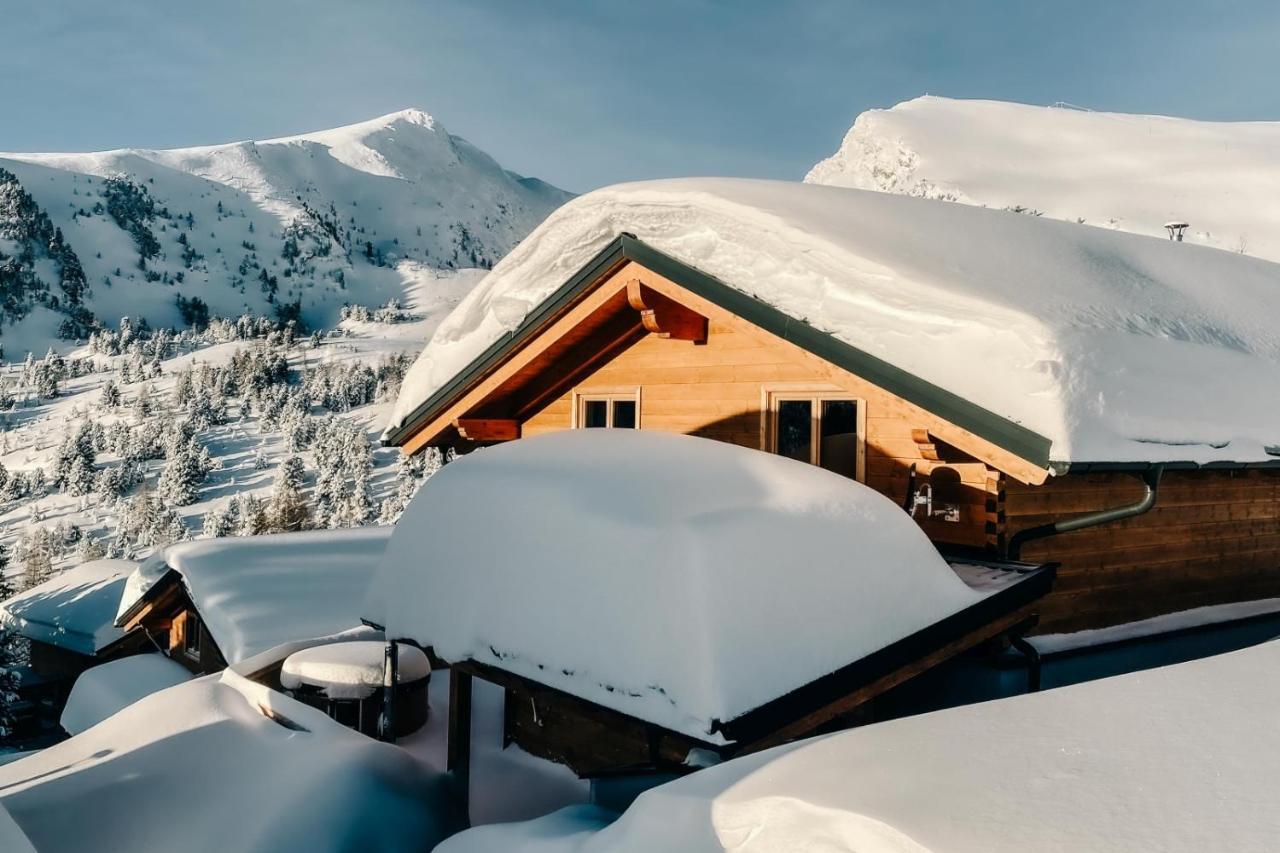 Heidi Chalets Falkert Heidialm - Chalets Bergwinter Patergassen Ngoại thất bức ảnh