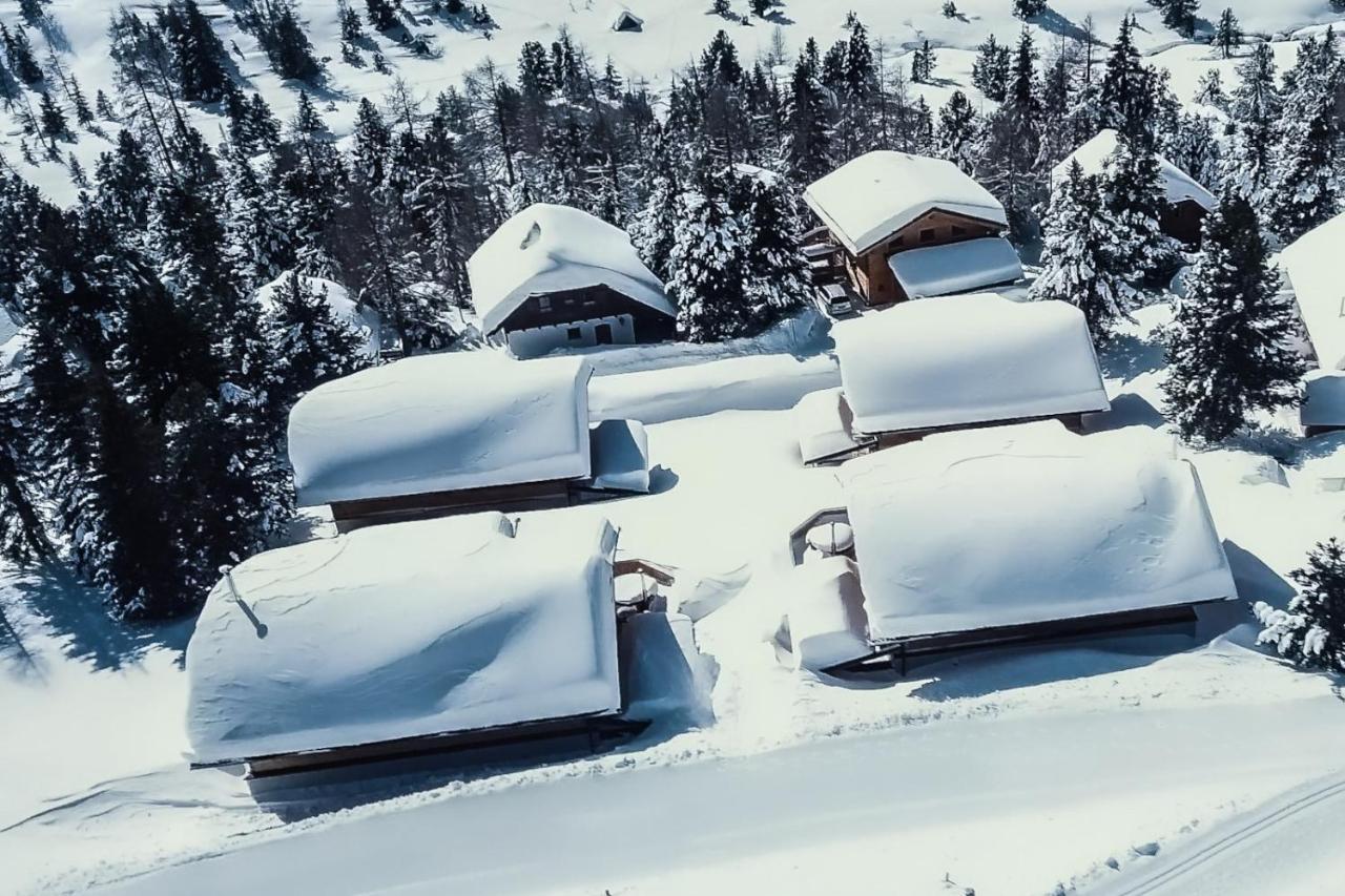 Heidi Chalets Falkert Heidialm - Chalets Bergwinter Patergassen Ngoại thất bức ảnh