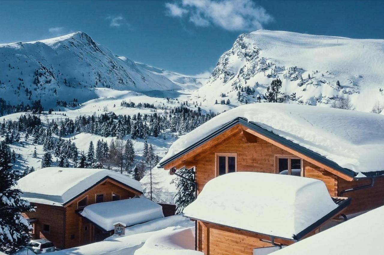 Heidi Chalets Falkert Heidialm - Chalets Bergwinter Patergassen Ngoại thất bức ảnh